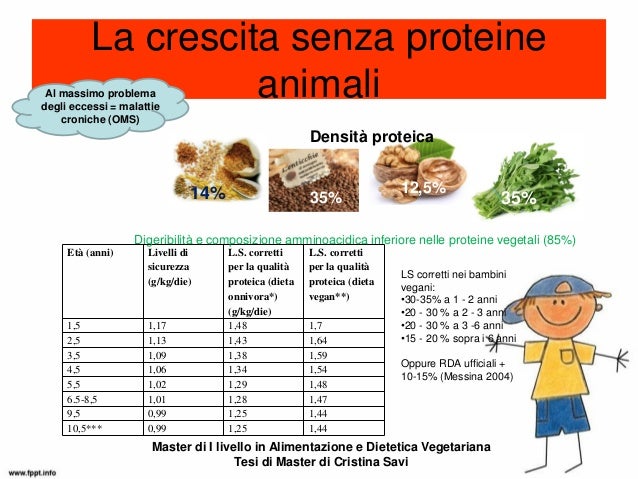 dieta proteica per vegetariani dieta proteica per vegetariani